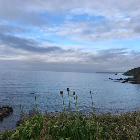 Cosy Double Room In A Seaside Cottage Crafthole エクステリア 写真