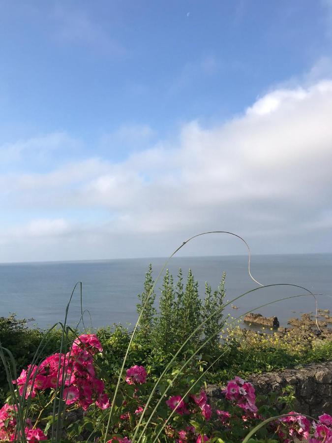 Cosy Double Room In A Seaside Cottage Crafthole エクステリア 写真
